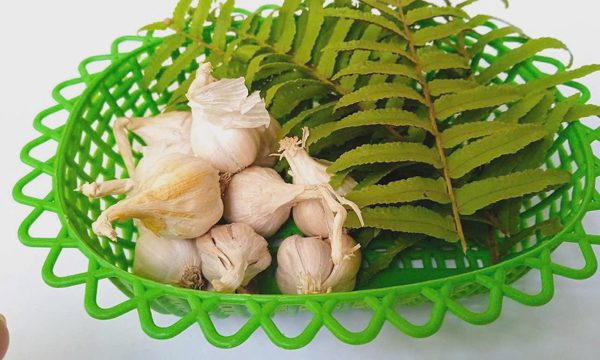 Những thời điểm trong ngày hơi thở dễ có mùi