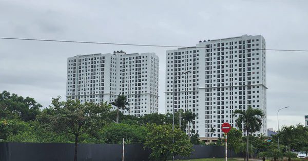 Ninh Bình: Giải ngân 494 tỷ đồng vốn đầu tư công, đẩy mạnh phát triển nhà ở xã hội