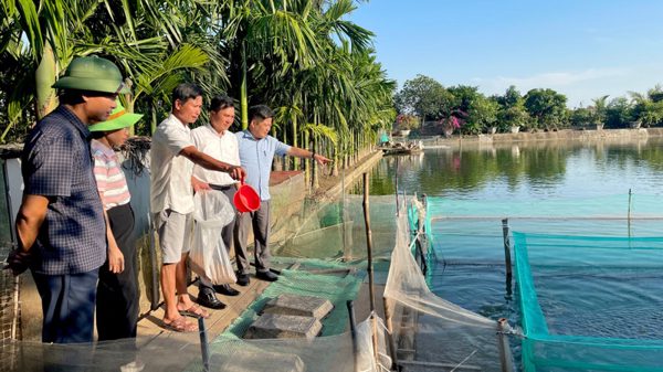Ninh Bình: Khánh Thiện hôm nay, mùa phù sa mới