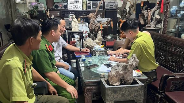 Ninh Bình ra quân xử lý các hành vi săn bắt, kinh doanh chim di cư, hoang dã