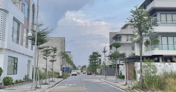 Ninh Bình: Rút ngắn thời gian lựa chọn quỹ đất, đẩy tiến độ đấu giá đất