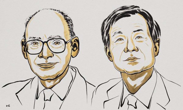 Nobel Hóa học 2026 vinh danh nghiên cứu tổng hợp hữu cơ