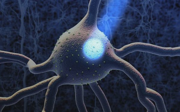 Nobel y sinh 2026: Bật tắt neuron bằng ánh sáng, đặt nền cho cách chữa Alzheimer, Parkinson trong tương lai