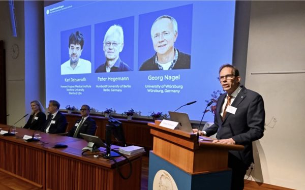 Nobel Y sinh 2026 thuộc về các nhà khoa học Mỹ và Đức, với đột phá về bộ não