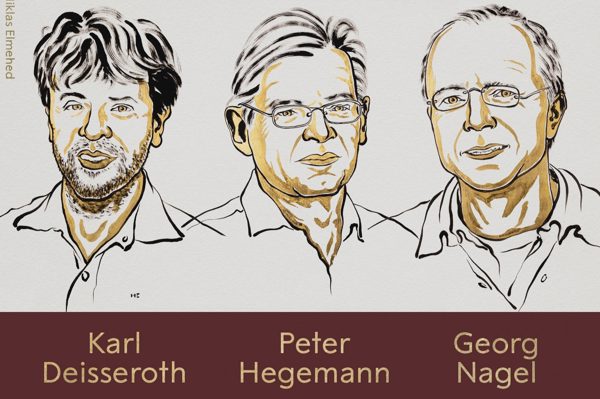 Nobel Y sinh vinh danh công trình giúp thay đổi cơ bản hiểu biết về não bộ