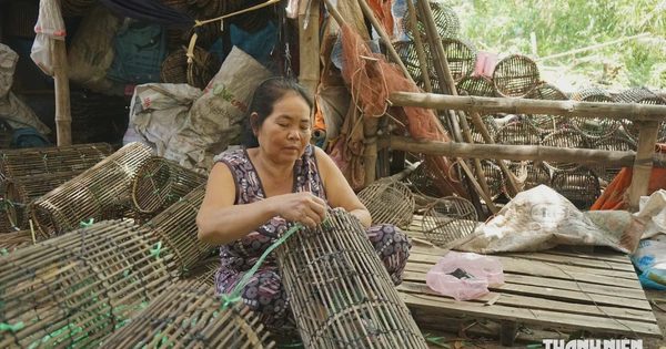 Nỗi buồn bên xóm nghề đan lọp cua
