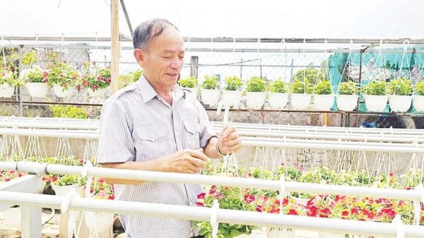 Nông dân Bình Chánh làm theo gương Bác