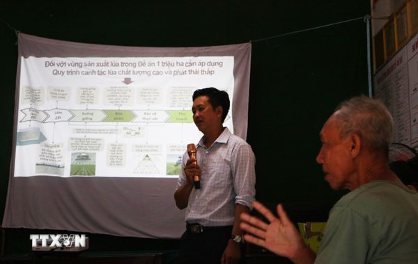 Nông dân Cần Thơ chuyển phương thức canh tác, trồng lúa phát thải thấp