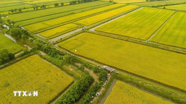 Nông nghiệp - “điểm hẹn đã chín” cho hợp tác Việt Nam-Anh