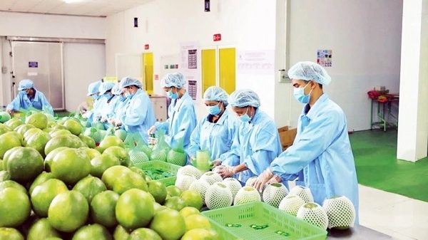 Nông sản 'chạy nước rút' hướng đến mốc 18 tỷ USD cuối năm