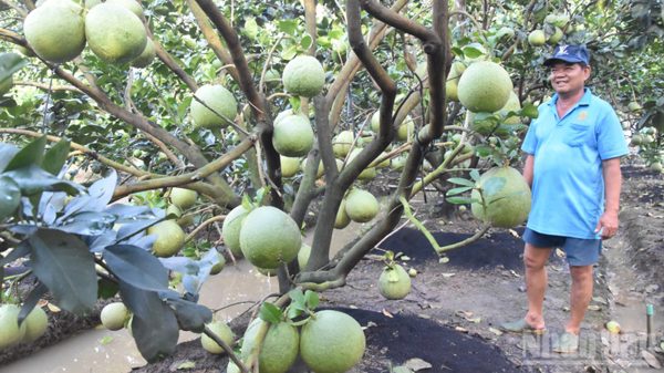 Nông sản không phụ thuộc vào một quốc gia nhập khẩu