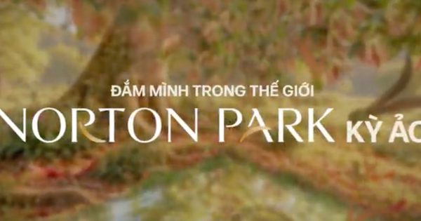 Norton Park in Sync: Cuối tuần khám phá thế giới đa giác quan giữa lòng TP.HCM