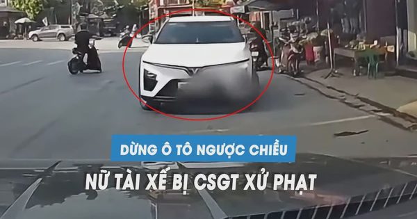 Nữ tài xế bị CSGT xử phạt vì dừng ô tô ngược chiều trên quốc lộ