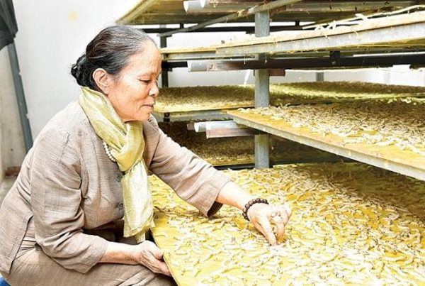 Nữ thợ giỏi Hà Nội đổi cách làm nghề