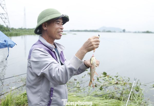 Nước lũ dâng, 'cần thủ' đua nhau săn cá