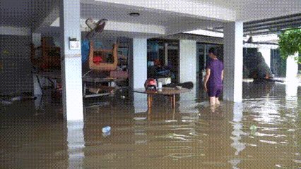Nước ngập tràn vào nhà, người dân ở Quảng Ngãi bế lợn chạy lũ