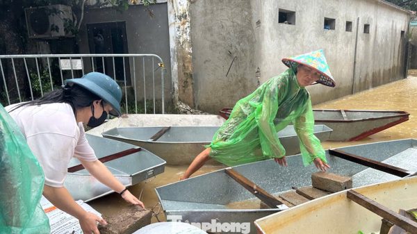 Nước sông Bùi tiếp tục lên cao: Di dời hàng trăm hộ dân ngoại thành Hà Nội