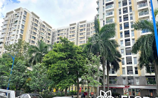 Ở chung cư nhiều năm, chưa từng được thông báo nộp thuế đất