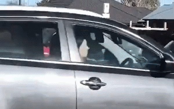Ô tô điện siêu mini khiến ai cũng phải ngoái nhìn, được đi trên đường của người đi bộ