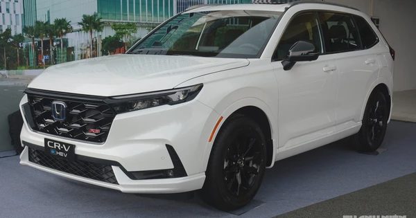 Ô tô hybrid hãng nào đang được người Việt ưa chuộng nhất?