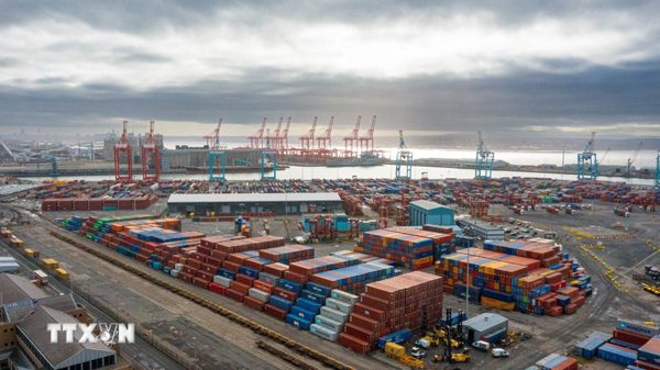 OECD điều chỉnh nâng dự báo tăng trưởng toàn cầu năm 2026
