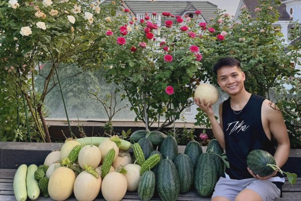 Ông bố ở TPHCM chi 200 triệu đồng biến sân thượng thành khu vườn trĩu quả