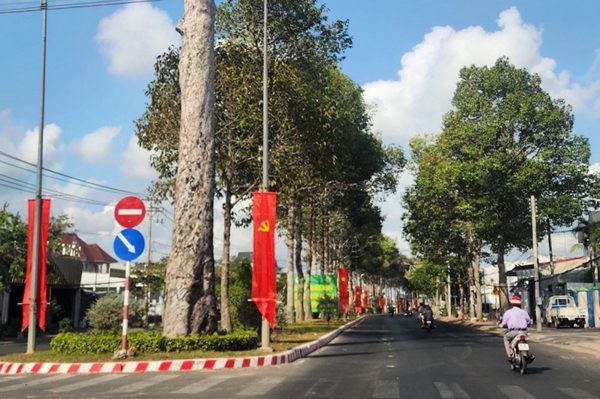 Ông chủ Cây xanh Công Minh bị đề nghị truy tố: Thông tin hơn 600 gói thầu