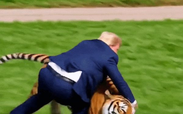 Ông Trump đăng video AI đóng vai 'nạn nhân' vụ hổ vồ