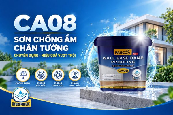 Pasco ra mắt CA08 - giải pháp mới cho nỗi lo ẩm chân tường trong công trình Việt