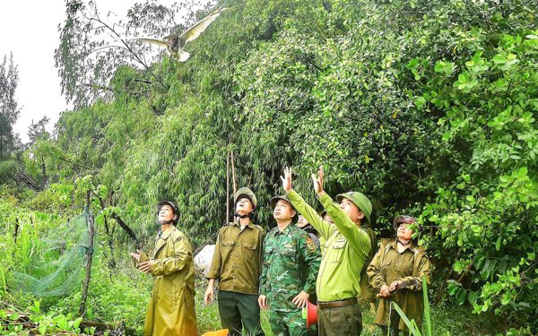 Phá dỡ hơn 20.000 bẫy chim trời mùa di cư, chỉ phạt hành chính được 1 vụ