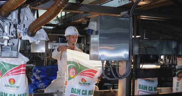 Phân bón Cà Mau đại hội bất thường, bổ sung nhiều định hướng chiến lược đột phá