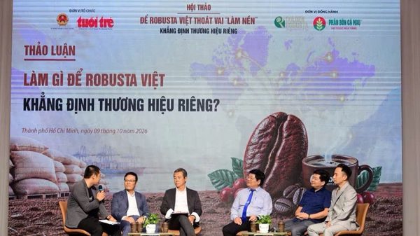 Phân bón Cà Mau khẳng định thương hiệu Robusta Việt từ chất lượng vùng trồng