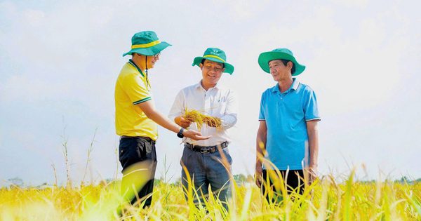 Phân bón Cà Mau viết tiếp câu chuyện phát triển