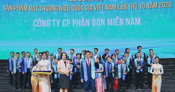 Phân bón Miền Nam có 2 sản phẩm đạt Thương hiệu quốc gia 2026