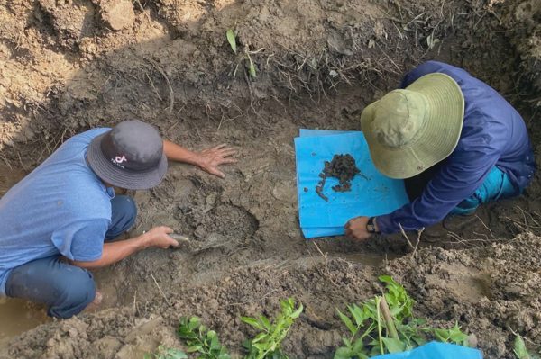 Phát hiện 5 hài cốt liệt sĩ tại khu vườn được cho là bệnh xá dã chiến