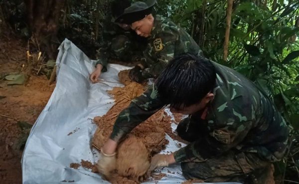 Phát hiện, cất bốc nhiều hài cốt liệt sĩ cùng di vật tại Quảng Trị