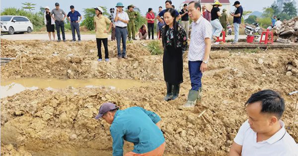 Phát hiện cổ vật thời Trần khi đào móng nhà ở Ninh Bình