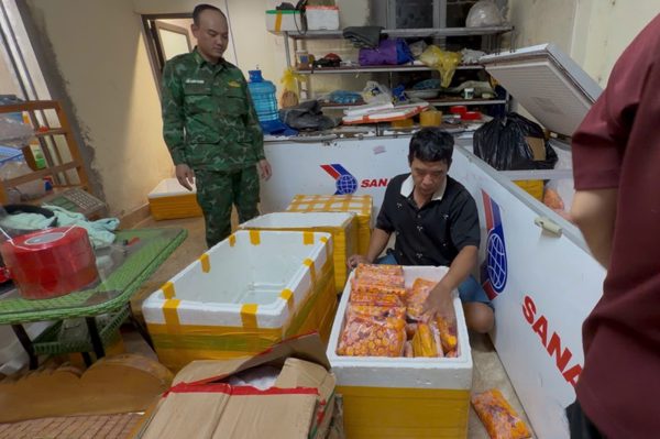 Phát hiện đường dây nhập lậu trứng gà non núp bóng cư dân biên giới