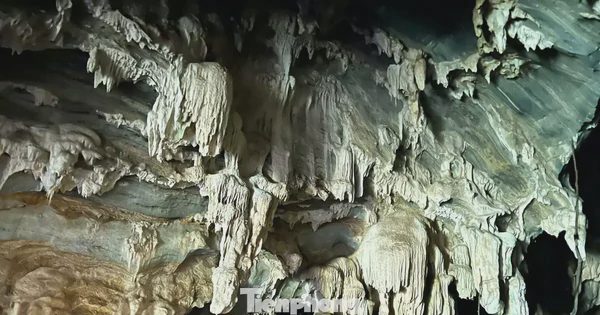 Phát hiện hang động nhũ đá lấp lánh ẩn mình giữa đại ngàn Nghệ An