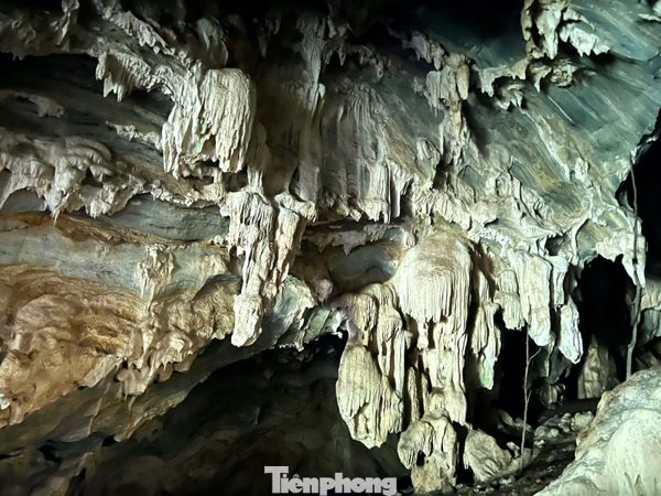 Phát hiện hang động nhũ đá lấp lánh ẩn mình giữa đại ngàn Nghệ An
