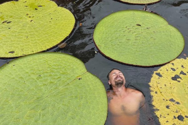 Phát hiện loài súng khổng lồ mới từ rừng rậm Colombia