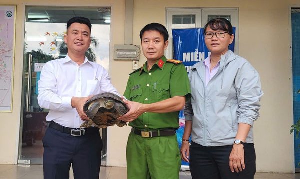 Phát hiện rùa răng quý hiếm dưới rạch ở TPHCM