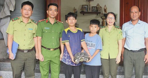 Phát hiện rùa răng quý hiếm nặng 9 kg ở Hà Tĩnh