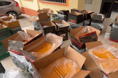 Phát hiện sự thật bên trong 34 thùng giấy khi chặn xe tải lúc rạng sáng