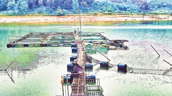 Phát huy lợi thế, tăng thu nhập từ nuôi trồng thủy sản