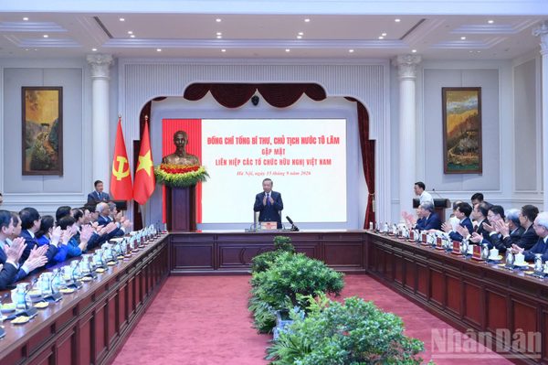 Phát huy mạnh mẽ vai trò lực lượng nòng cốt, chuyên trách của trụ cột đối ngoại nhân dân