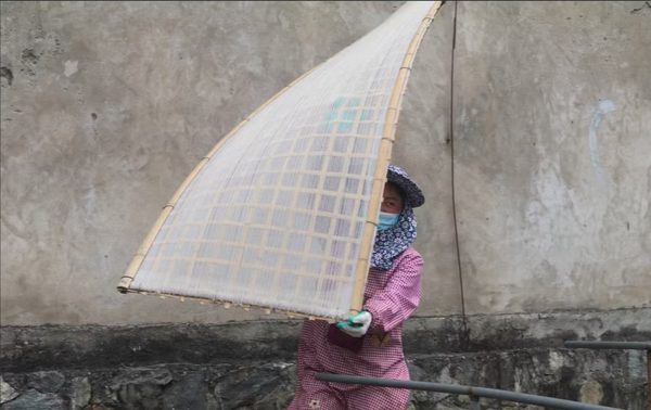 Phát huy và nâng tầm thương hiệu làng nghề miến dong Phia Đén của Cao Bằng