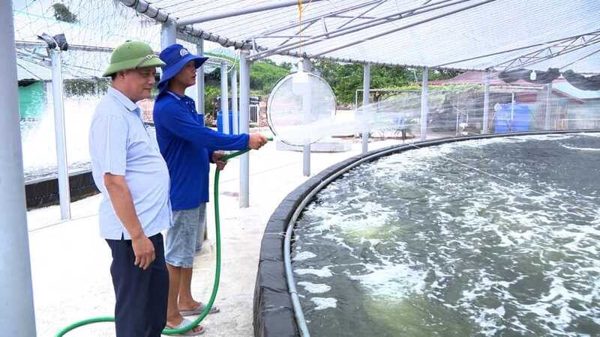 Phát triển mô hình sản xuất thủy sản bền vững, nâng cao giá trị