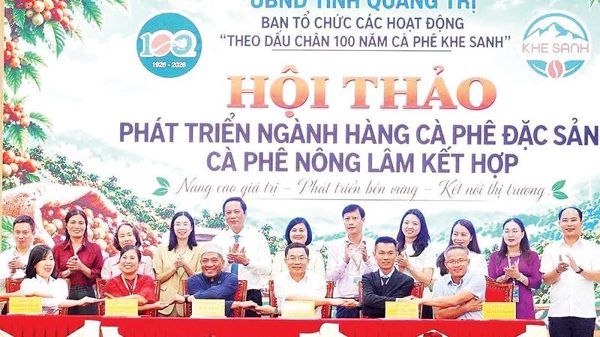 Phát triển ngành hàng cà-phê đặc sản, nông lâm kết hợp