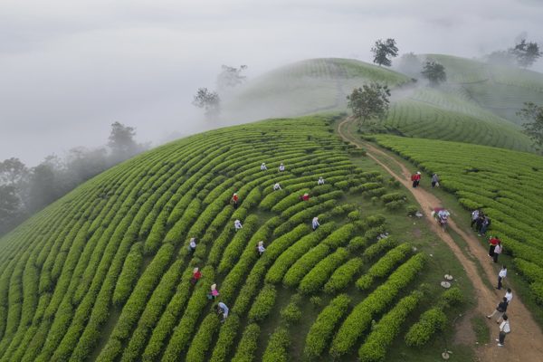 Phát triển nông nghiệp miền núi: Đừng chỉ hỗ trợ con bò, con lợn